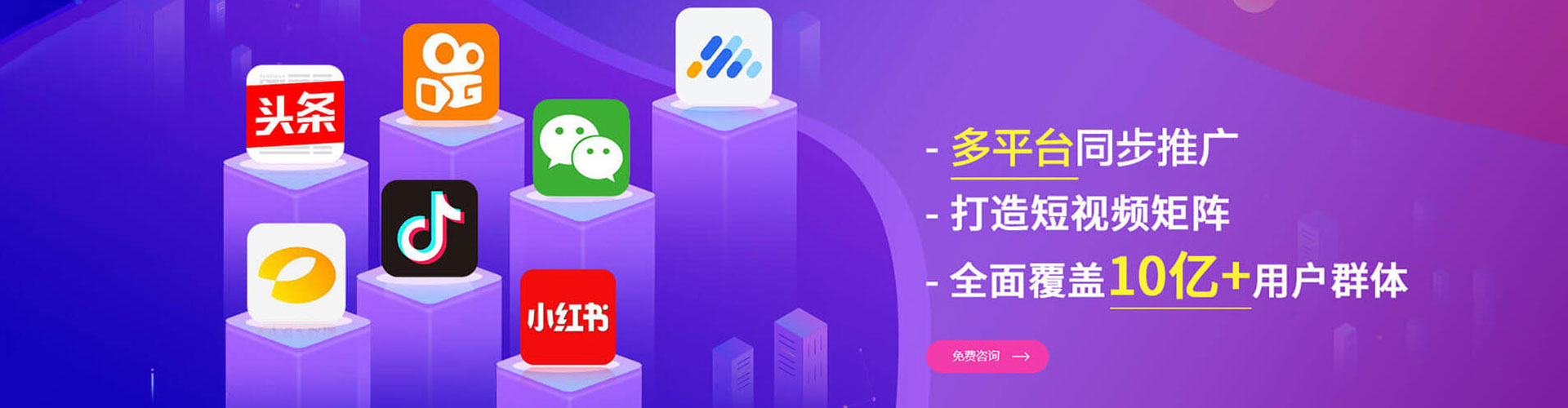 信义竞价代运营